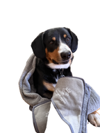 Hund sitzt mit Königshappen Hundehandtuch